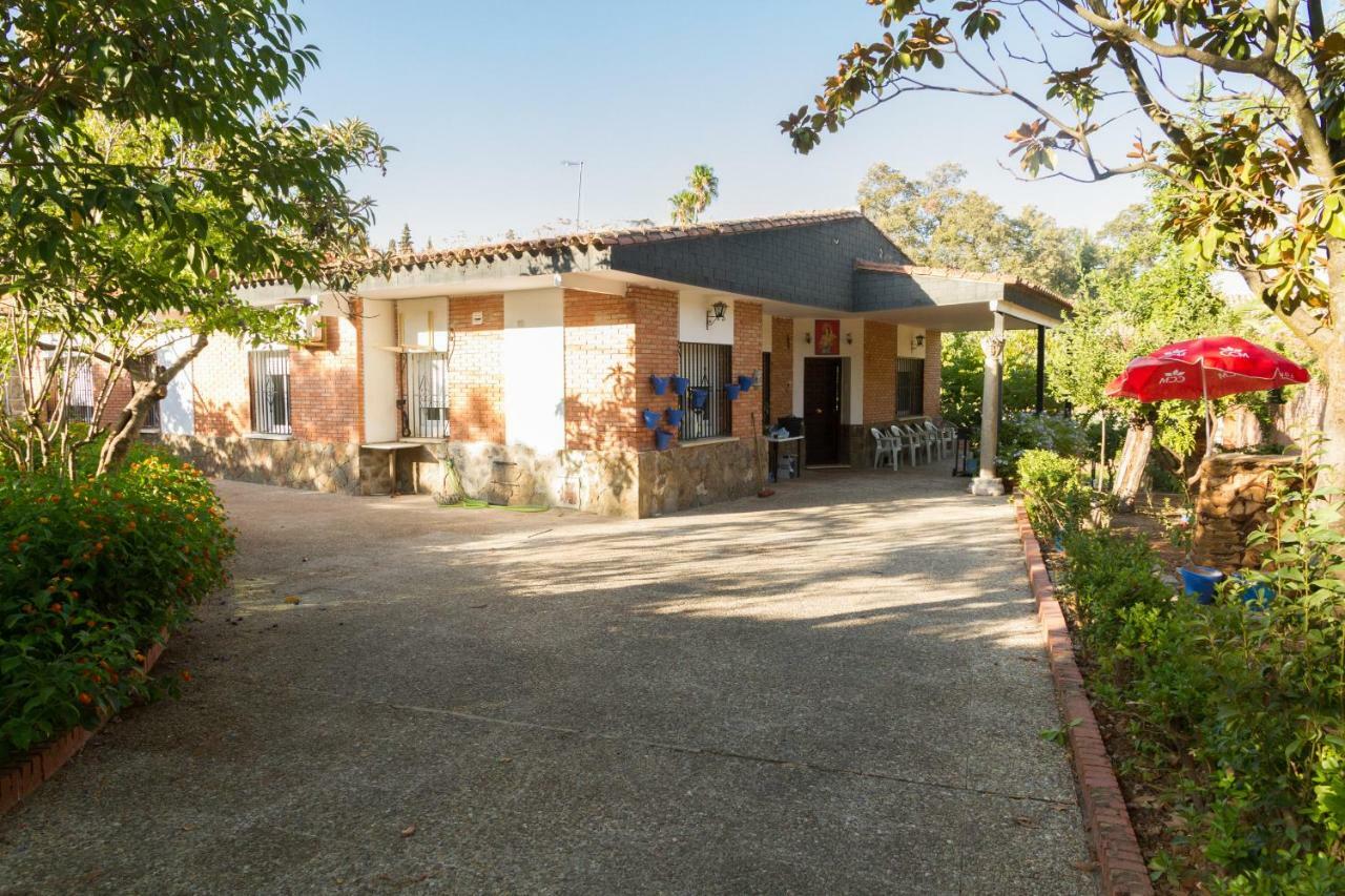 Fantástico chalet con piscina en Avenida del Brillante Vila Córdova Exterior foto